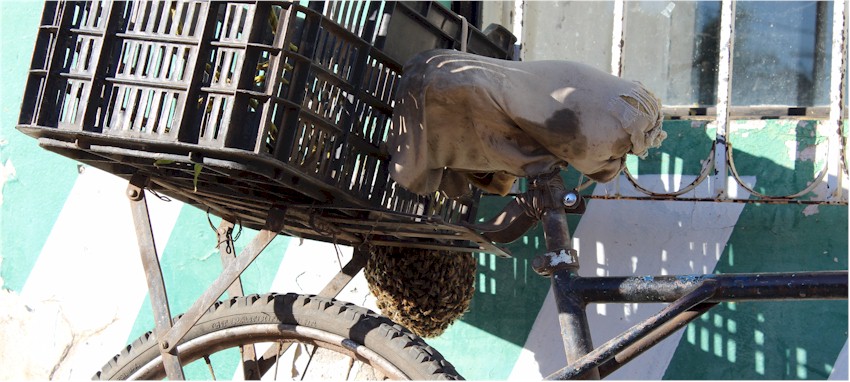 Panal de abejas en bicicleta