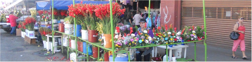 Flores y Ofrendas Mercado Municipal - foto 2