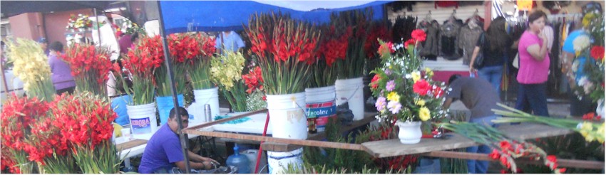 Flores y Ofrendas Mercado Municipal - foto 3