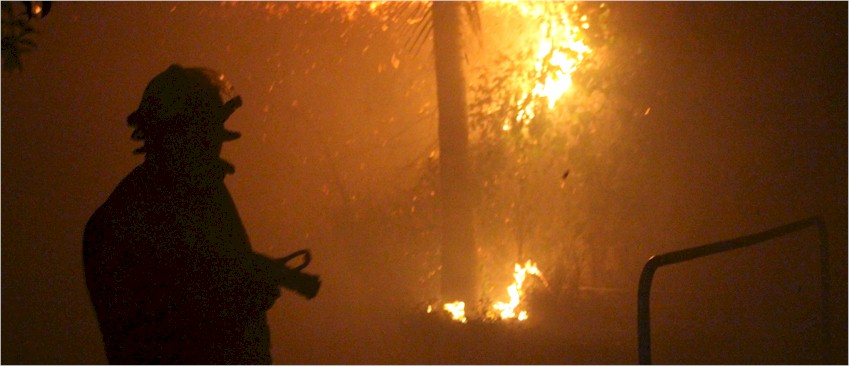 Incendio Durango entre Nainari y Allende foto 3