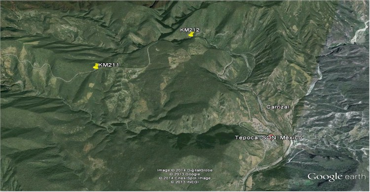 Mapa del lugar del accidente carretera Tepoca - Yecora