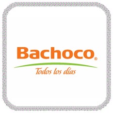 Bachoco