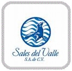 Sales del Valle SA de CV