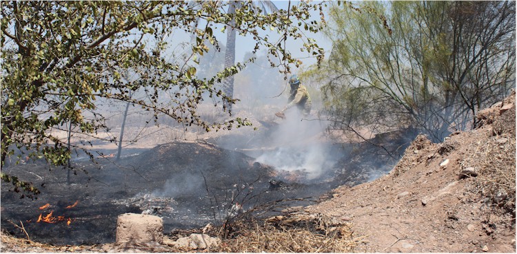 Incendio pasto y basura Cajeme y Quintana Roo - Foto 10